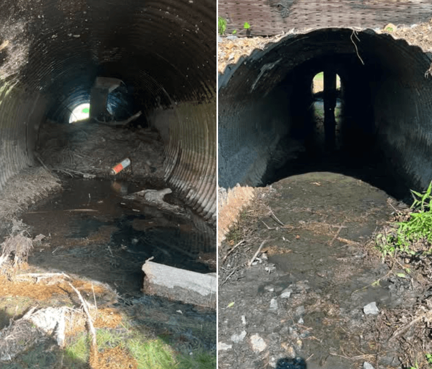 Weiner Takes Action to Clear Persistent Railroad Drainage Issue