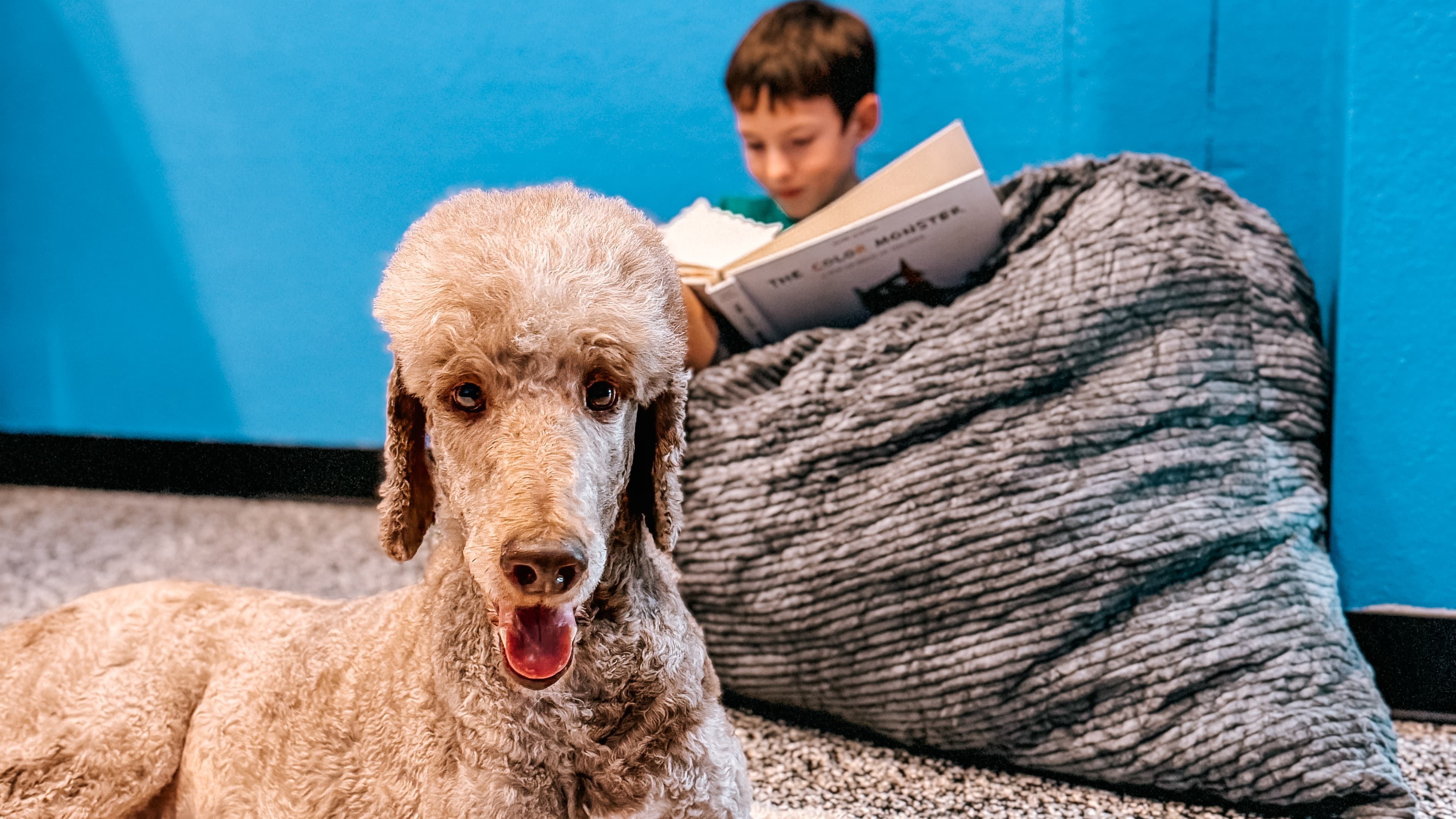 Paragould Business Creates Sensory-Friendly Space for Children to Interact with Dogs