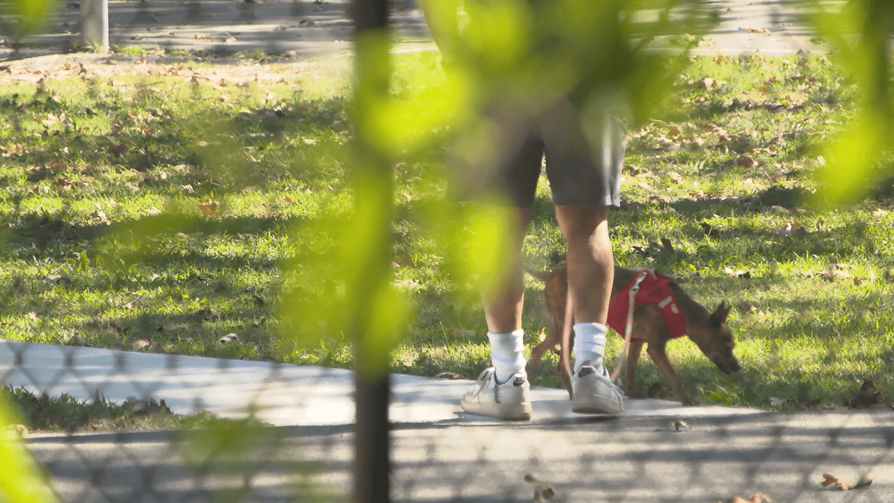 Brookland Police Provide Safety Tips for Evening Runners