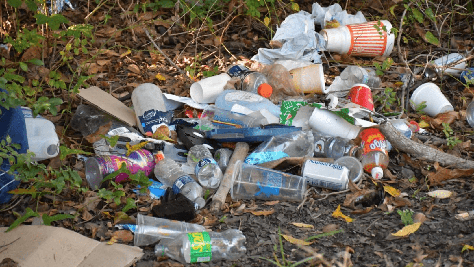 Volunteers Sought for Arkansas Fall Cleanup Campaign