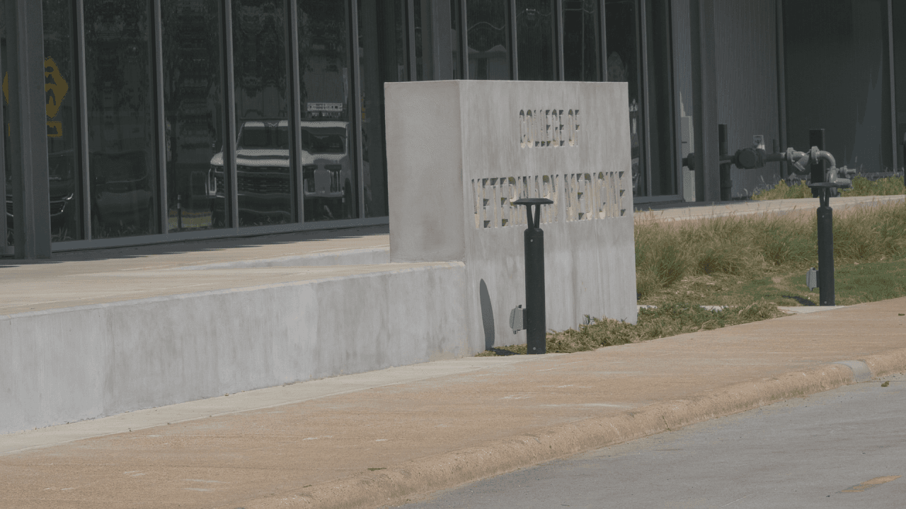 Arkansas State University Opens Applications for Fall 2027 Veterinary Class
