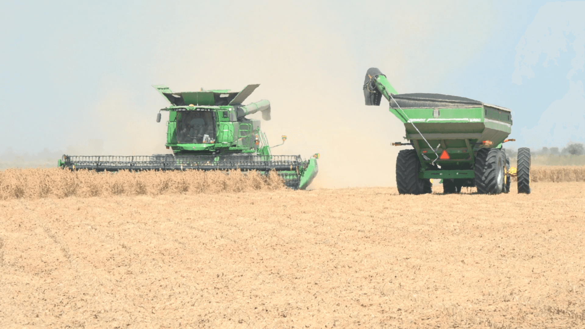 Drought and Intense Heat Strain Northeast Arkansas Farmers