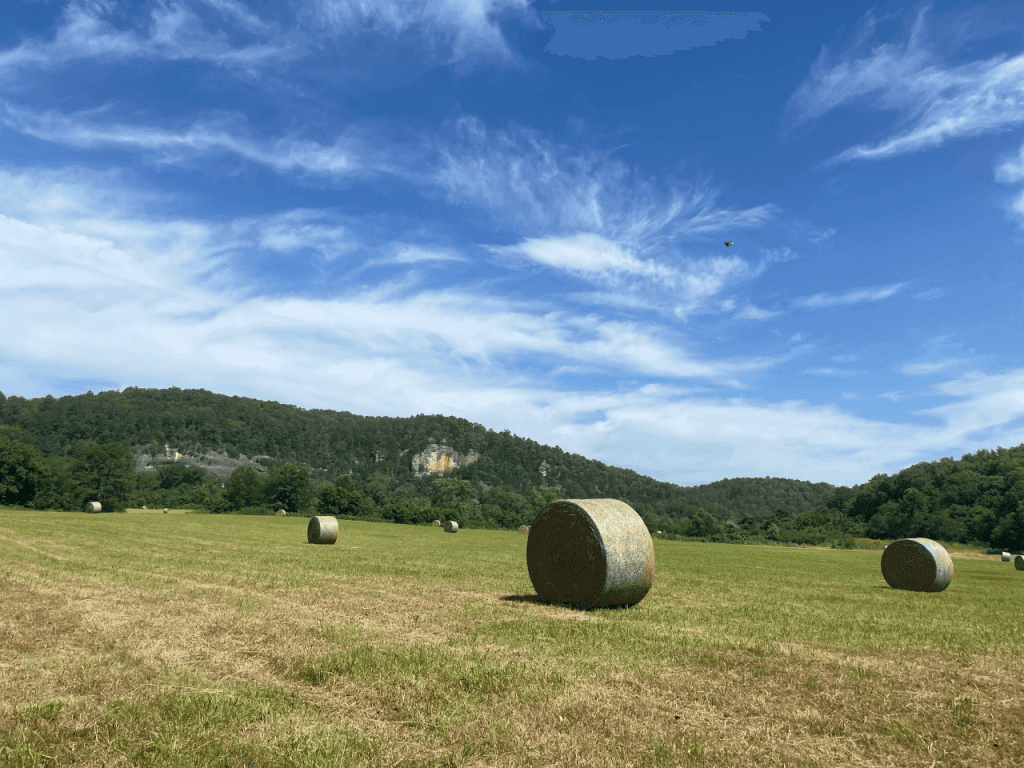 Buffalo National River Opens Bidding for 24 Haying Permits