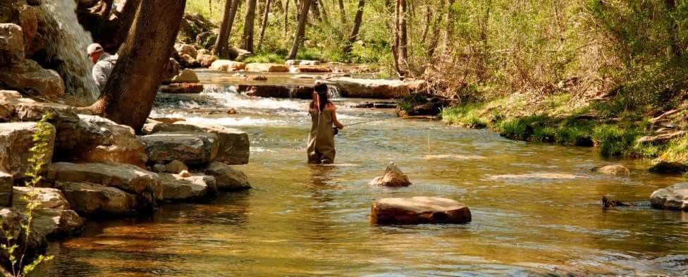 Friends of Norfork Hatchery to Host Dinner and Fundraiser at Gaston’s