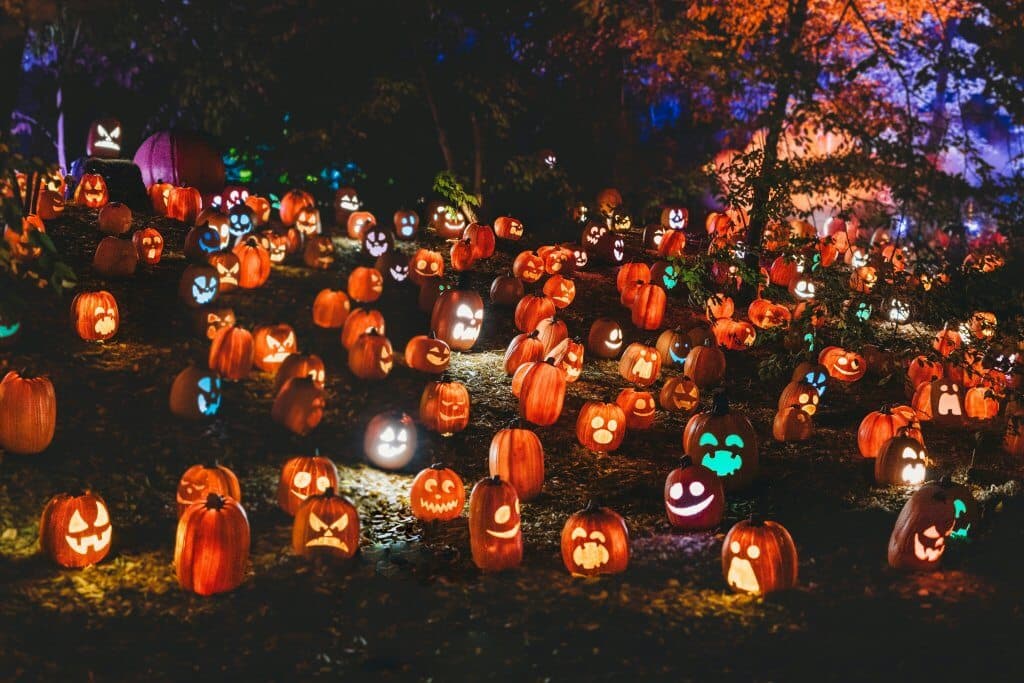 Baxter County Sheriff’s Office Issues Safety Tips for Trick-or-Treating