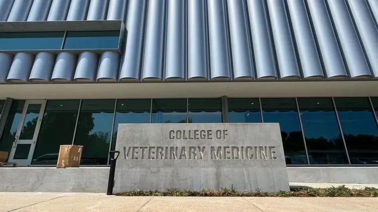 Arkansas State University Opens Veterinary College to Address Workforce Needs