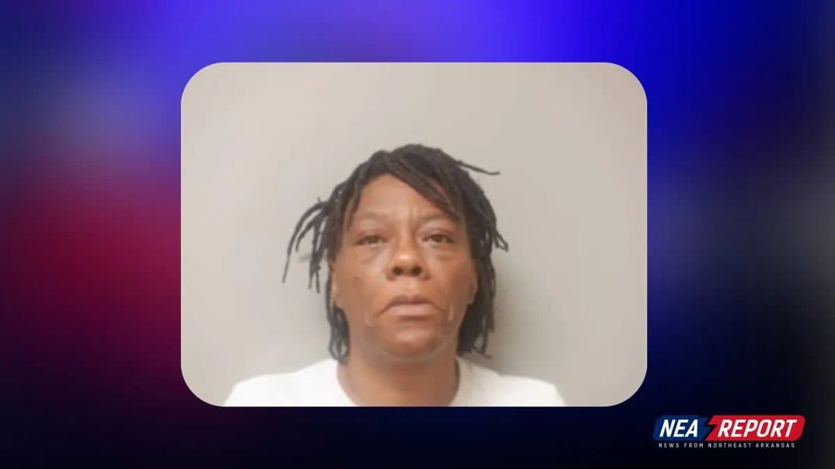 Jonesboro Woman Charged with Felony Over Slim Jim Theft