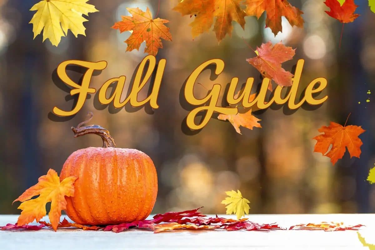 Fall Activities and Events Abound Across Northeast Arkansas