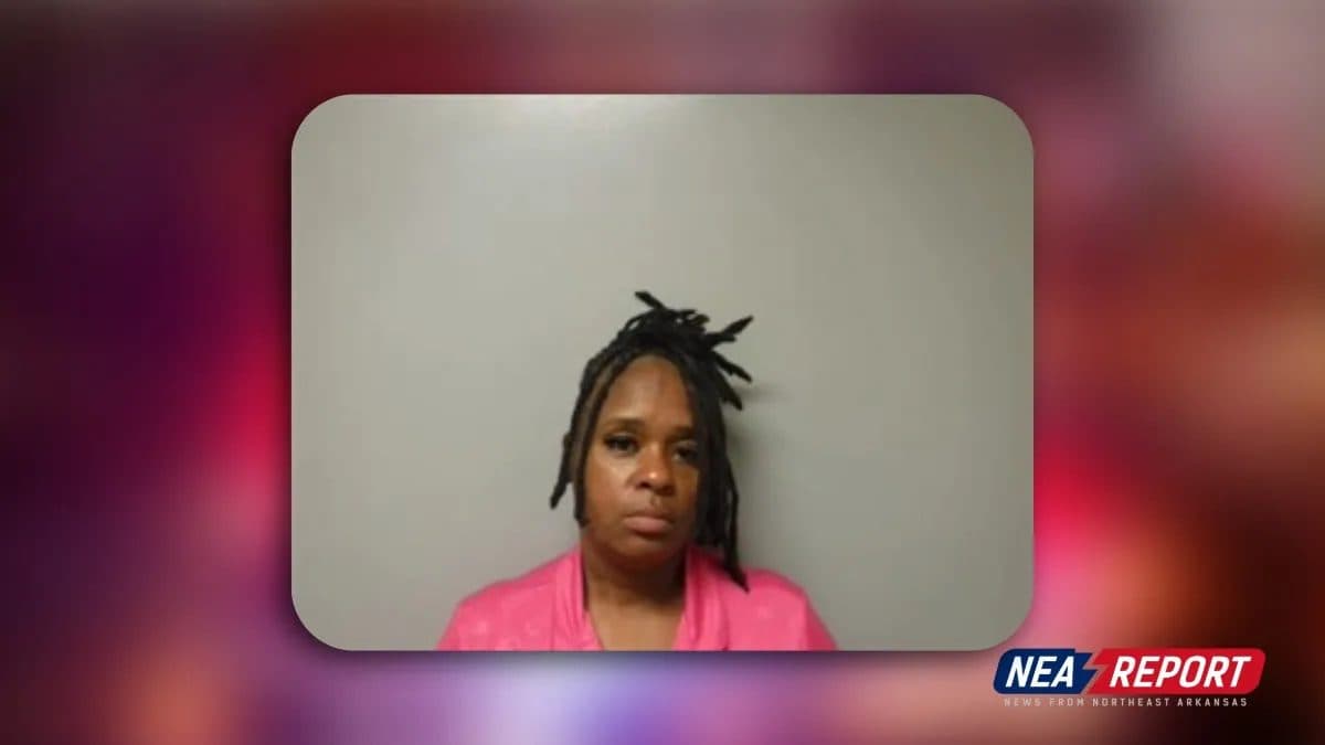 Jonesboro Woman Charged with Felony Theft in Store Incident