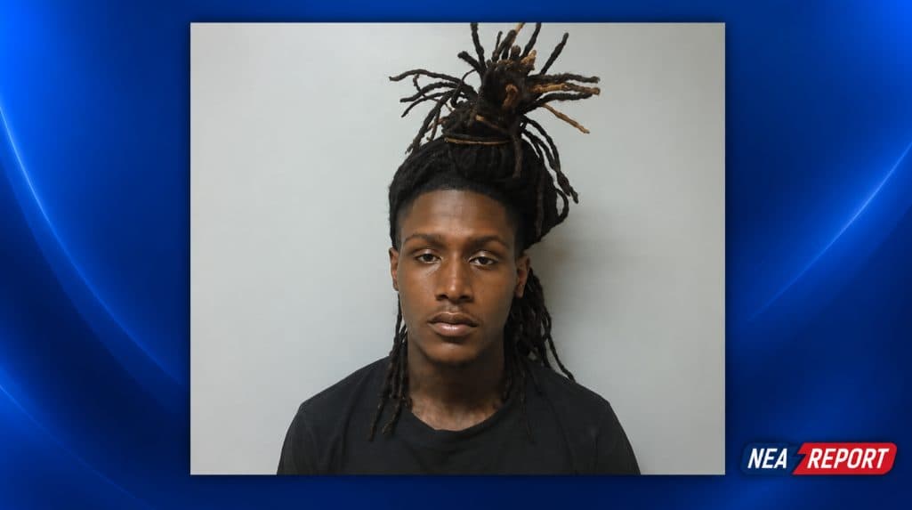 Passenger Allegedly Grabs Wheel, Causes Rollover in Brookland With Infant Onboard