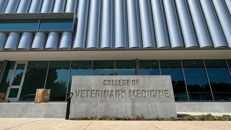 A-State College of Veterinary Medicine to Host White Coat Ceremony for Inaugural Class
