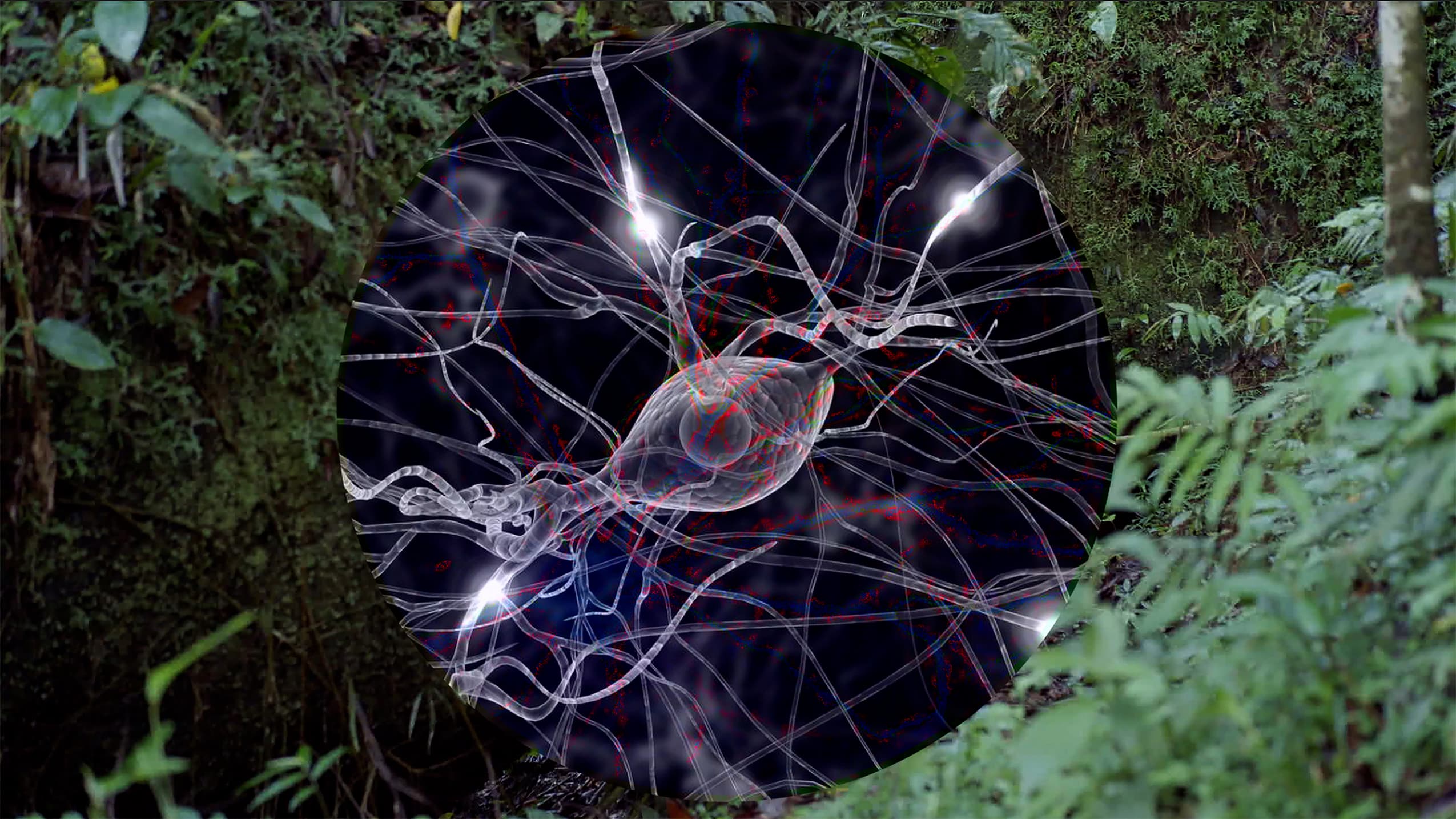 Bradbury Art Museum Showcases 'more-than-human' Exhibition Exploring Art, Nature, and Technology