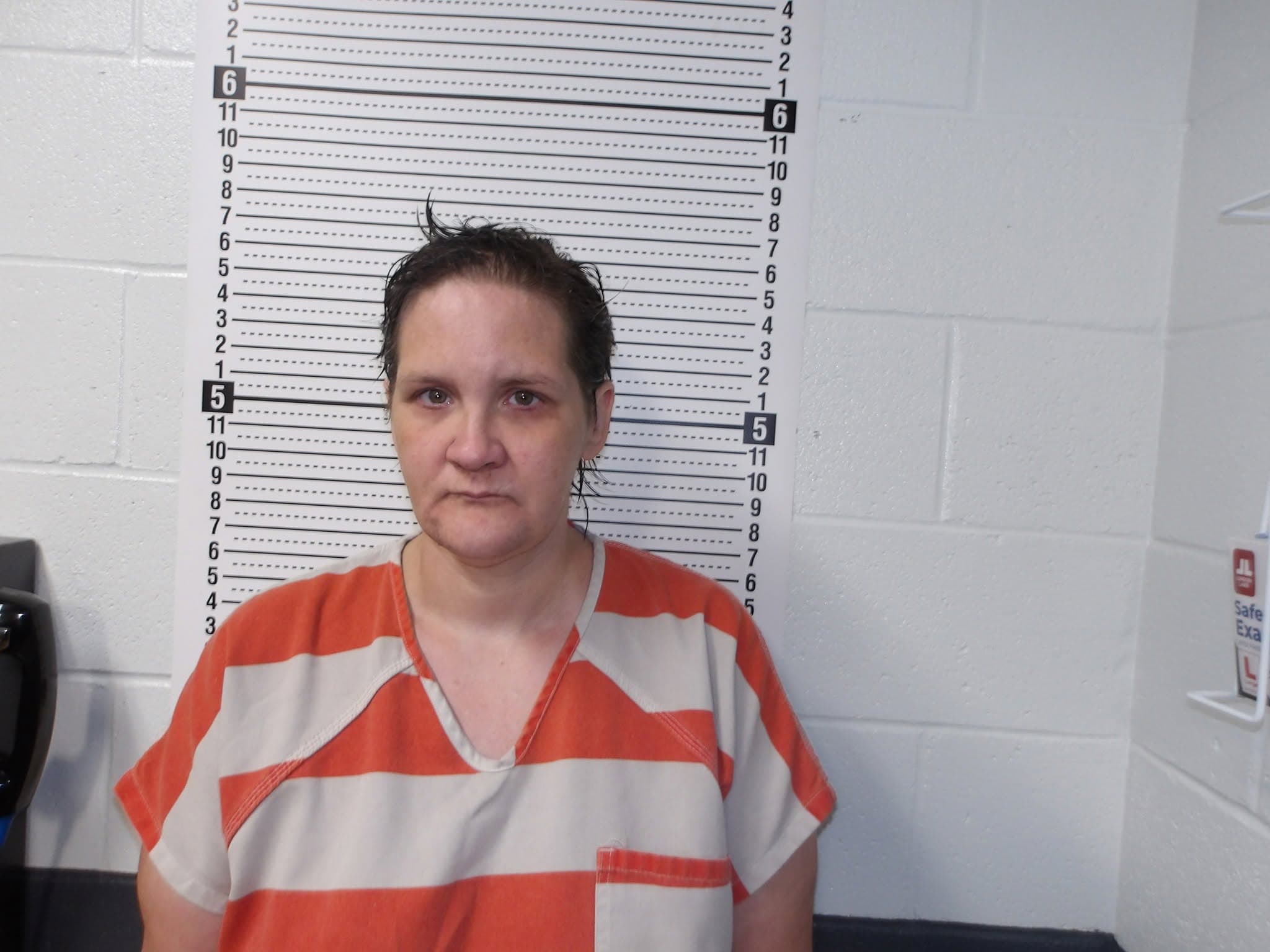 Jonesboro Woman Faces New Charge After Two Jail Attacks