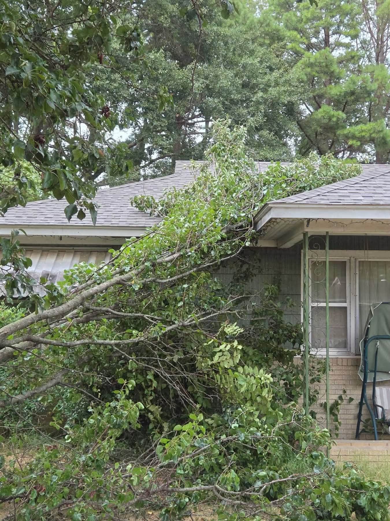 Storms Cause Damage in Greene and Jackson Counties