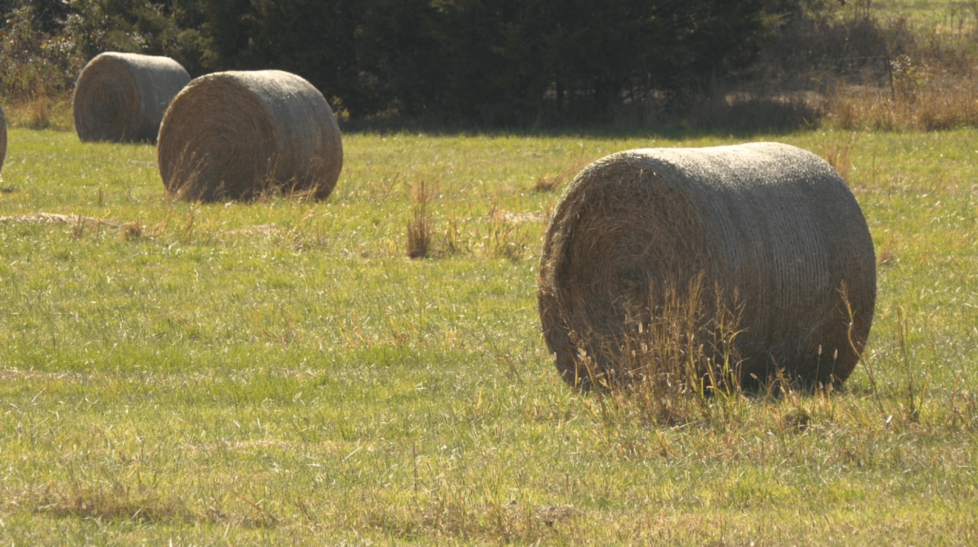 Drought Forces Hayride Cancellation at Water Valley Haunted House