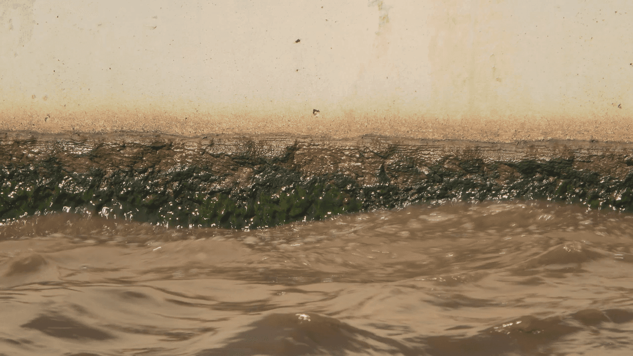 Arkansas State Researchers Explore Turning Sewer Waste into Renewable Energy