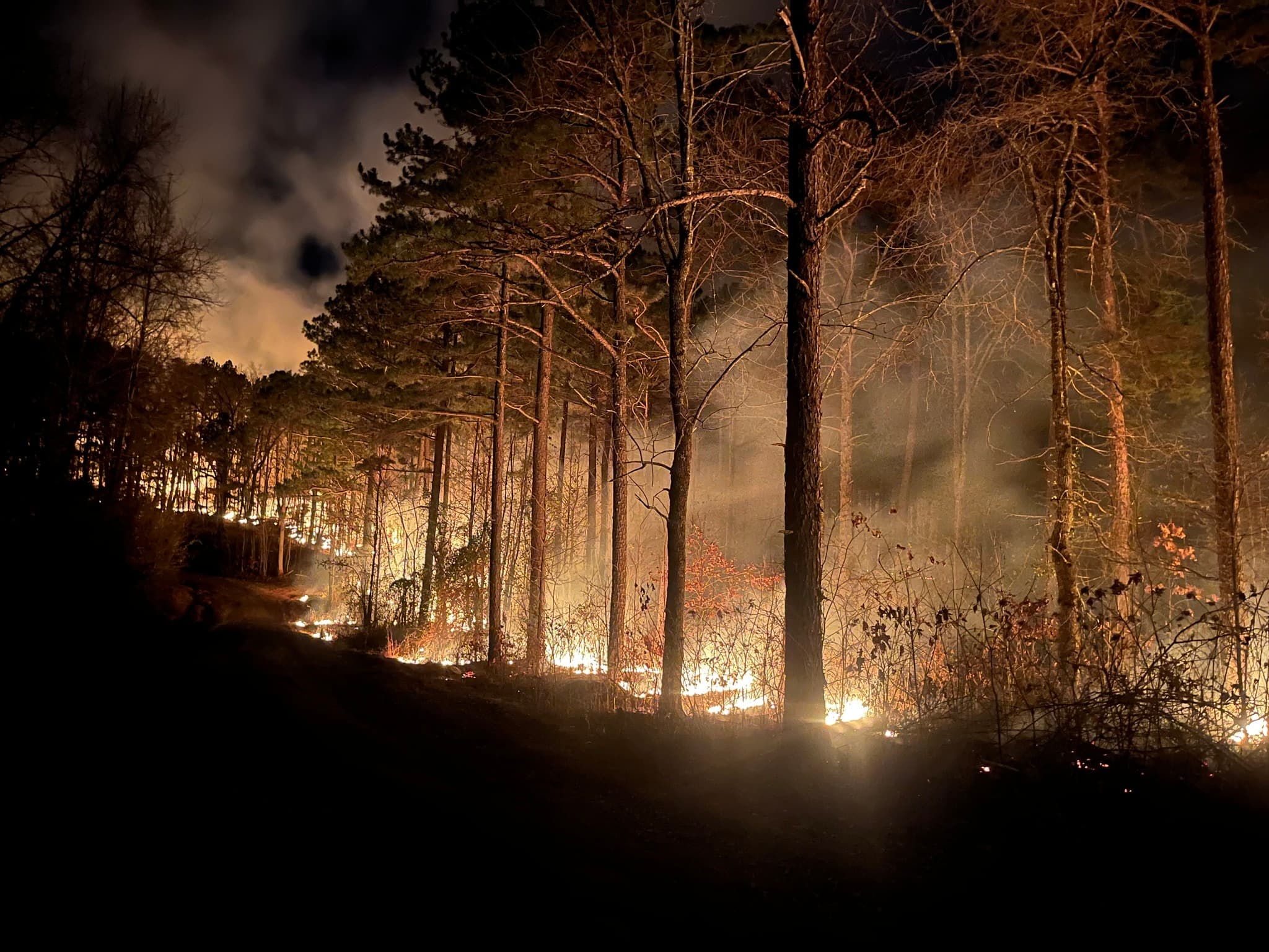 Governor Activates Interstate Compact as Arkansas Battles Widespread Wildfires