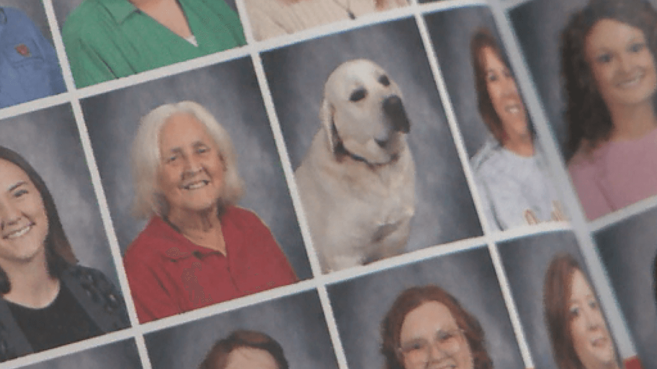 Therapy Dog Brings Joy to Melbourne High School Students