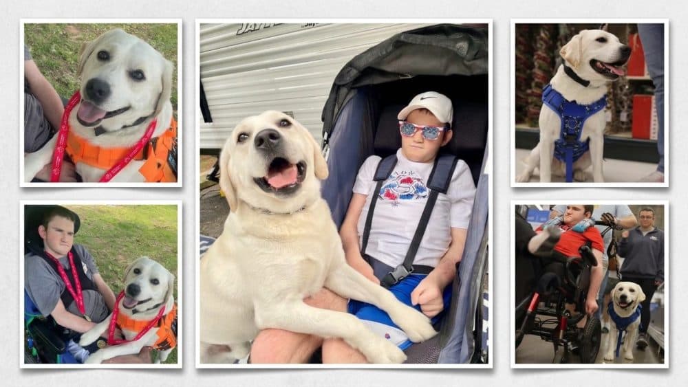 Service Dog Provides Life-Changing Support to Arkansas Teen