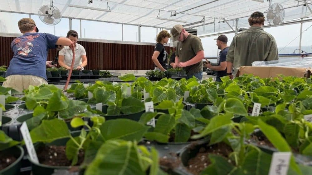 Bank of Cave City Gift Renames UACCB Farm Program, Establishes Endowment