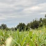 Twin Lakes Closes July with Average Rainfall and Temperatures