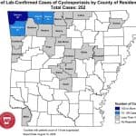 Fulton County Reports Cases of Cyclosporiasis Amid Statewide Increase