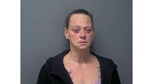 Baxter County Woman Pleads Guilty to Gun and Disorderly Conduct Charges