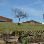 Effort to Honor Glenda Small Aims to Fund Playground Shade at Hackler School