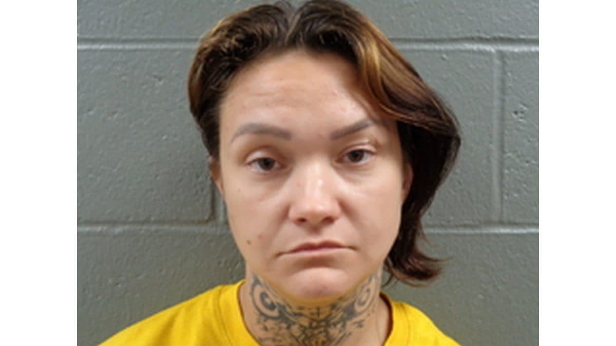 Mountain Home Woman Arrested with Half a Pound of Methamphetamine, Vehicle Seized