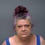 Mountain Home Woman Urged to Consult Lawyer Before Pleading Guilty in Meth Case