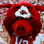 Sparse Crowd and Stray Skunk Mark Razorbacks’ Home Game Against Georgia