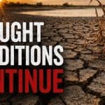 North Central Arkansas Faces Severe Drought; Over 17 Inches of Rain Needed for Relief