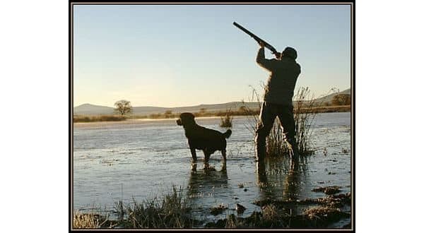 Arkansas Duck Hunters Face Challenges as Drought Persists