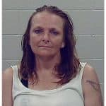 Harrison Woman Arrested After Pan Assault Outside Local Business