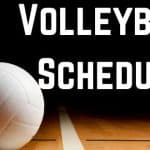Harrison and Bergman Progress in State Volleyball Tournaments