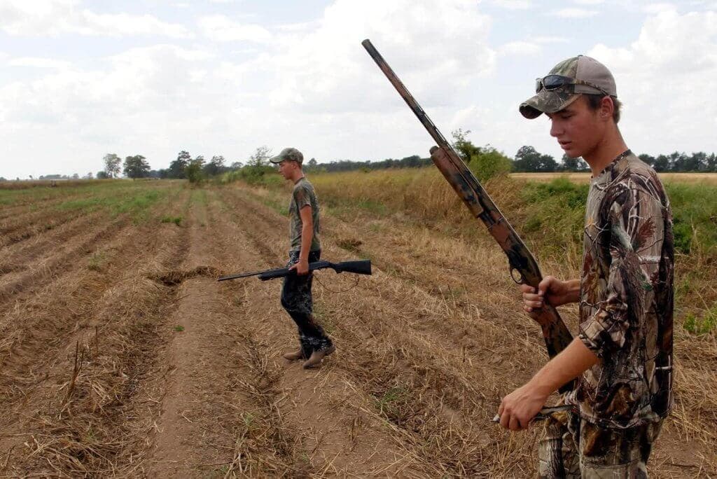 Hunters Advised to Check Dove Fields for Baiting Ahead of Season