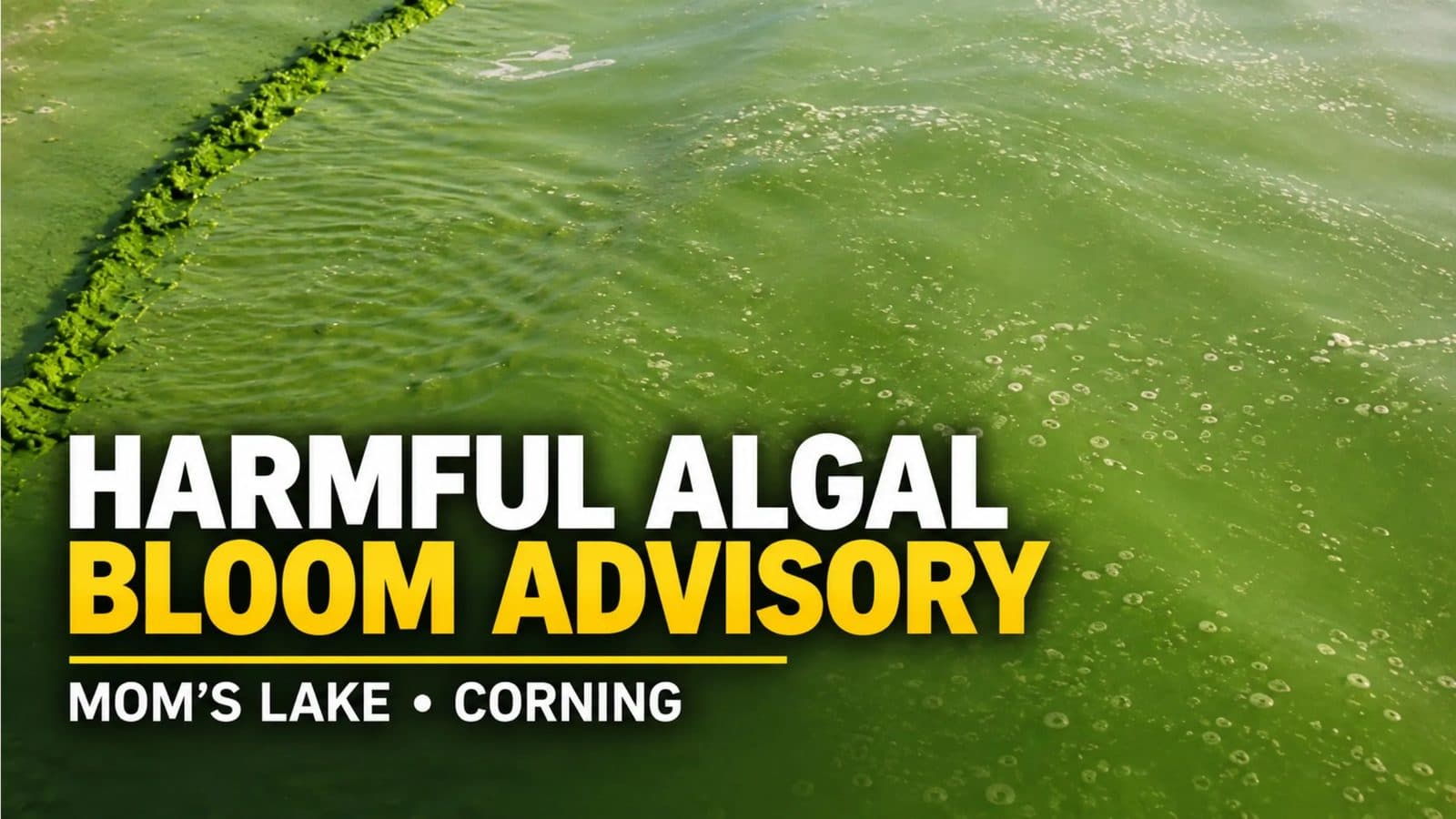 Advisory Issued for Harmful Algal Bloom in Mom’s Lake