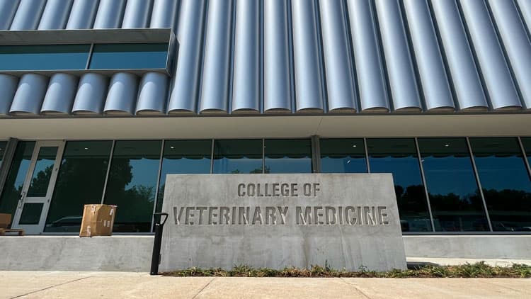 White Coat Ceremony to Mark Milestone for Inaugural Class of Arkansas State’s Veterinary College