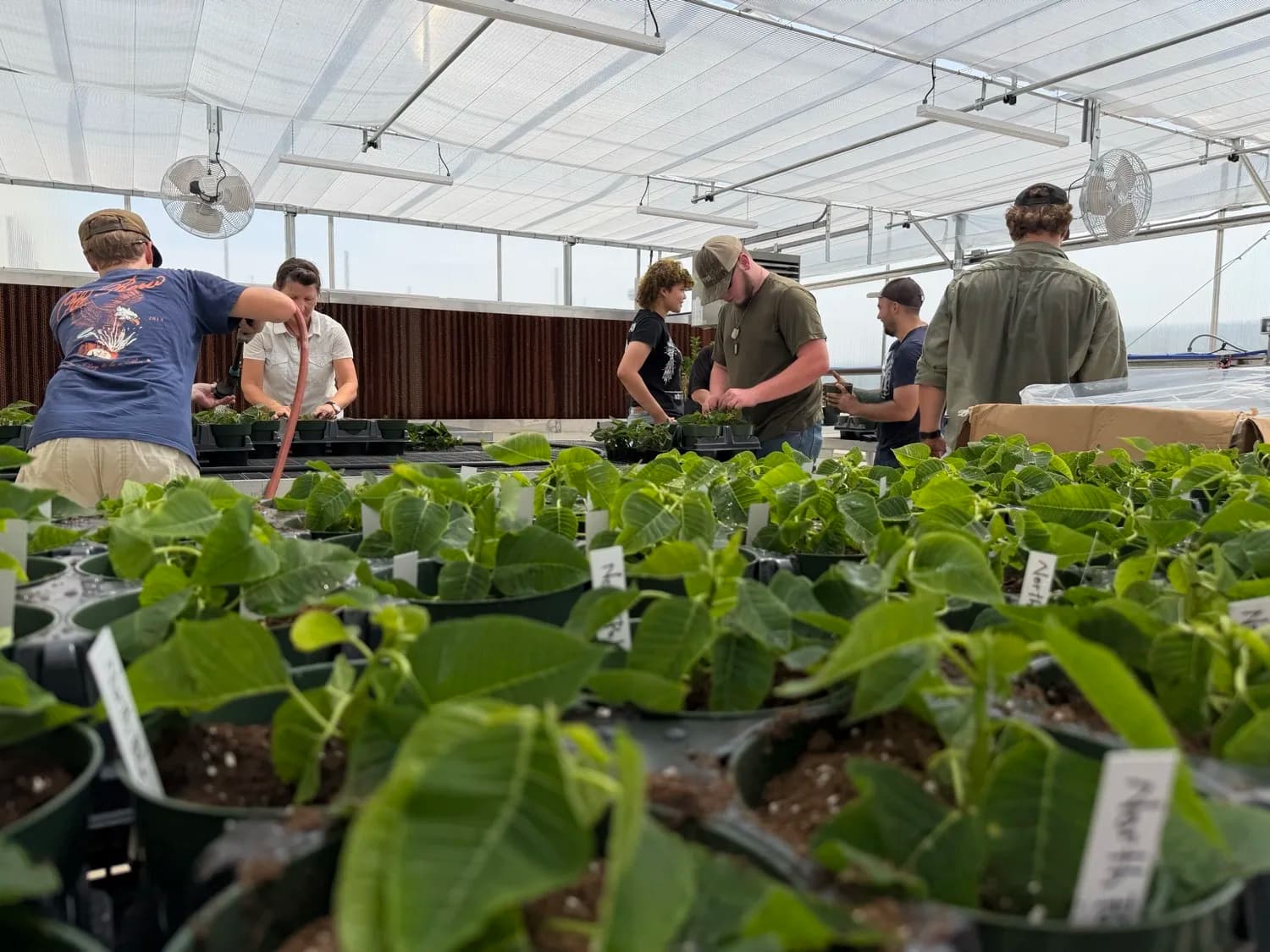 Bank of Cave City Endowment to Support UACCB Farm and Ranch Management Program